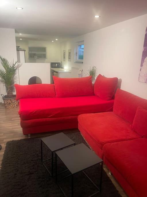Gemuetliches Einliegerapartment, 50 Qm Trippstadt Kültér fotó