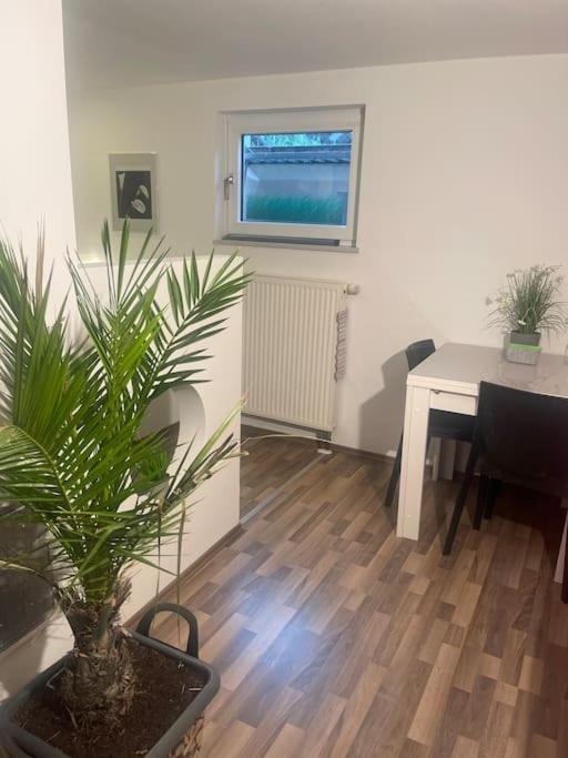 Gemuetliches Einliegerapartment, 50 Qm Trippstadt Kültér fotó